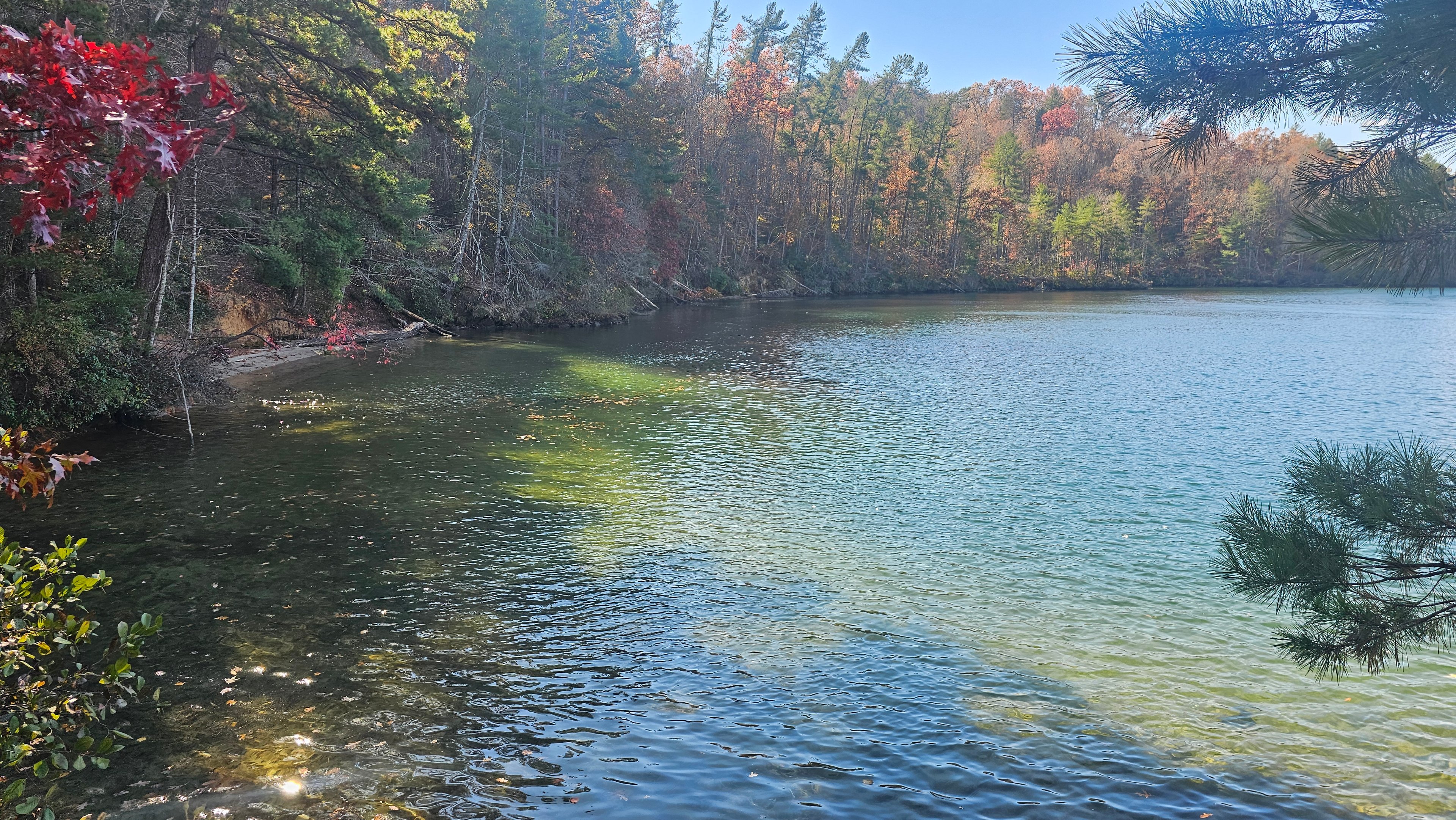 Ole Honey Hole Background